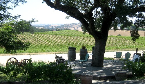 Paso Robles '08