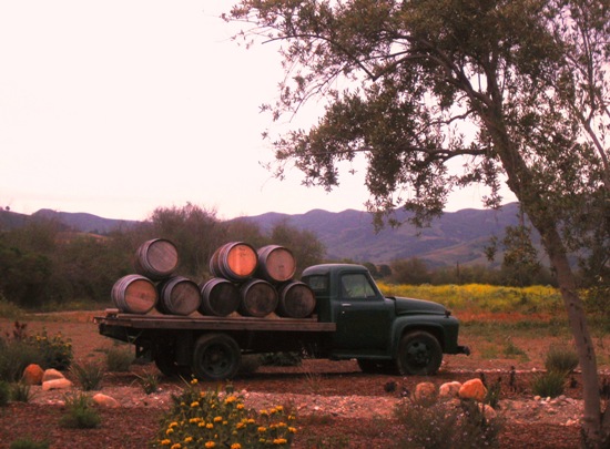 Santa Ynez '09