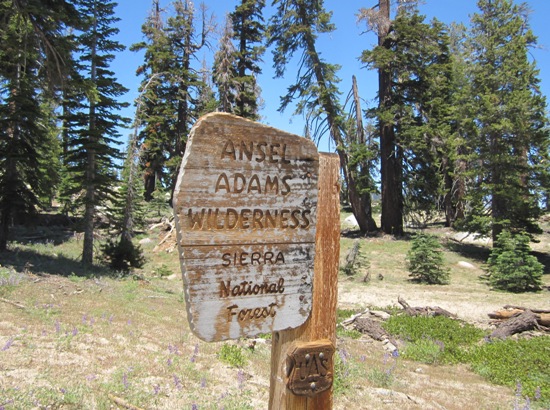 Ansel Adams Wilderness