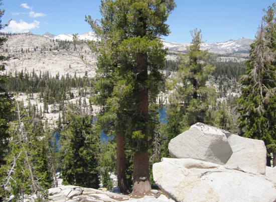 Ansel Adams Wilderness