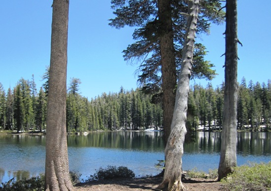 Ansel Adams Wilderness