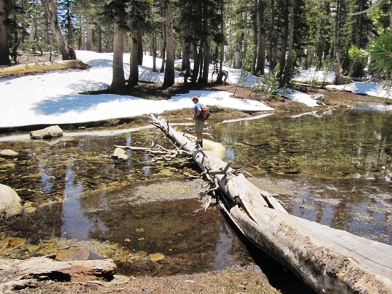 Ansel Adams Wilderness