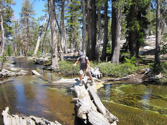 Ansel Adams Wilderness