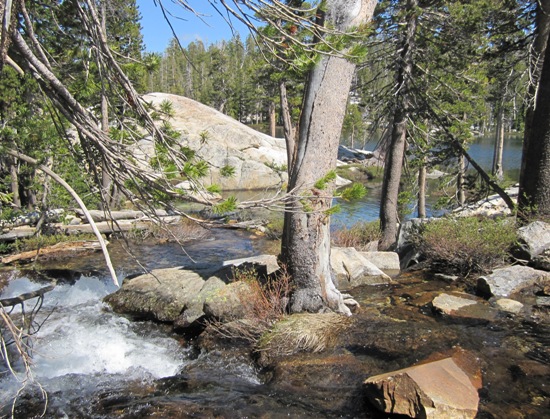 Ansel Adams Wilderness