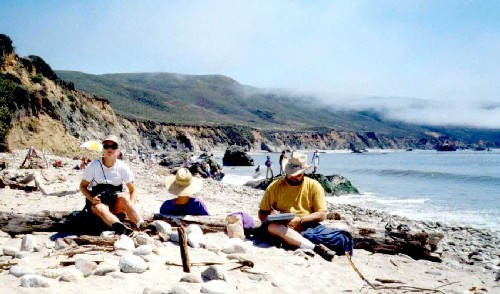 Big Sur '01