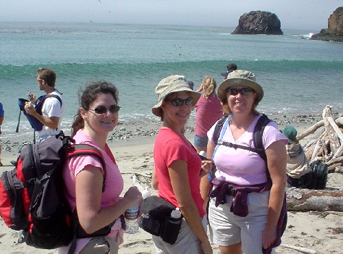 Big Sur '05