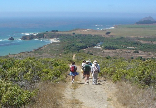 Big Sur '05