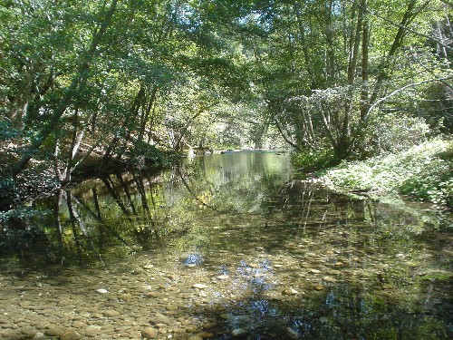 Big Sur '05