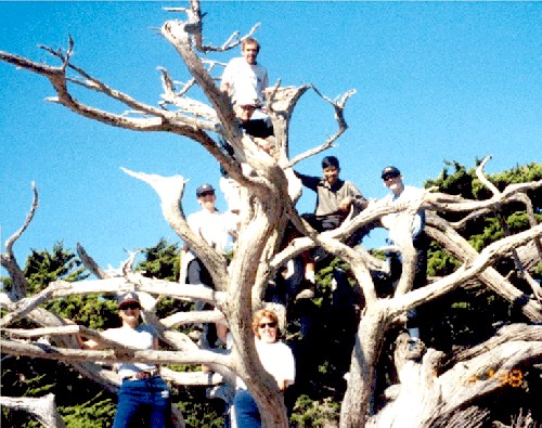 Big Sur '98