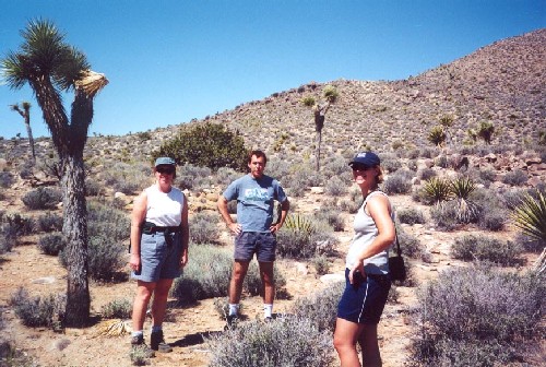 Joshua Tree '01