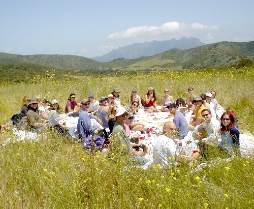 La Jolla Canyon '03