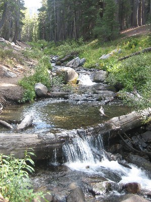 Mammoth Lakes '07