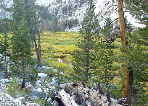 Mount Whitney '03