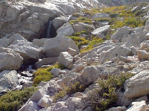 Mount Whitney '03