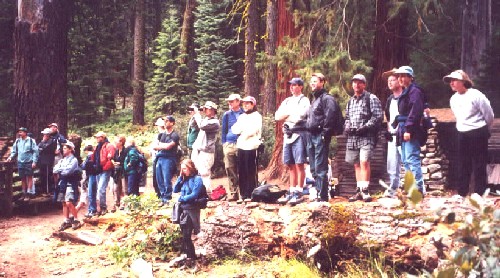 Sequoia Nat. Park '00