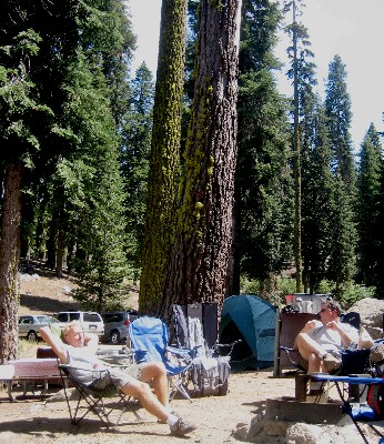 Sequoia Nat. Park '08