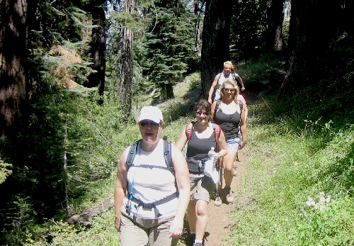 Sequoia Nat. Park '08