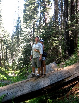 Sequoia Nat. Park '08