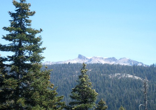 Sequoia Nat. Park '08