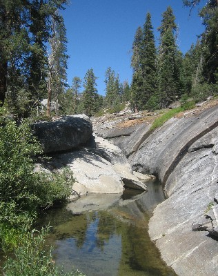 Sequoia Nat. Park '08