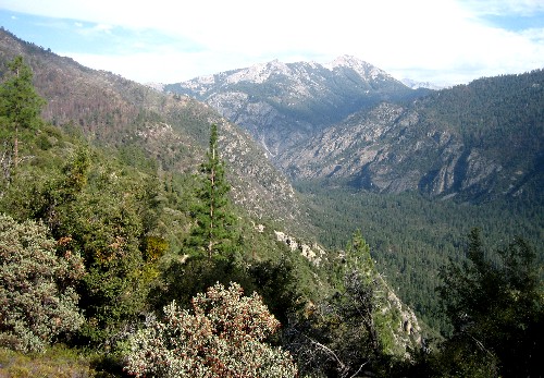 Sequoia Nat. Park '08