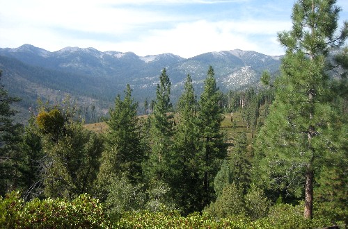 Sequoia Nat. Park '08