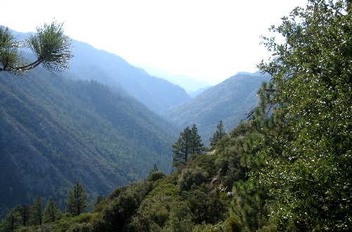 Sequoia Nat. Park '08