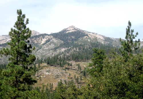 Sequoia Nat. Park '08