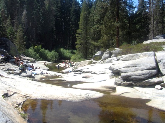 Sequoia National Park '13