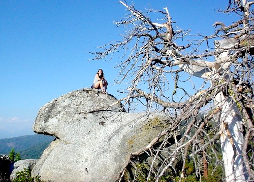 Sequoia National Park '03