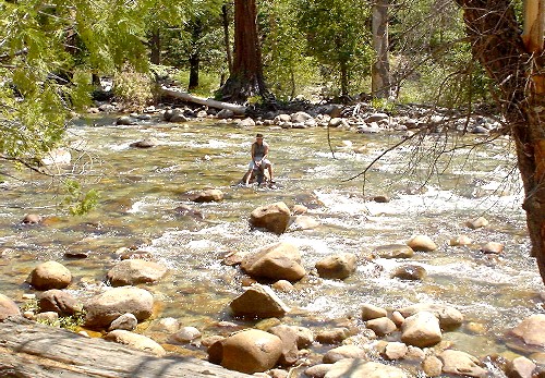 Sequoia National Park '03