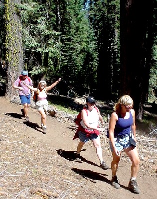 Sequoia National Park '03