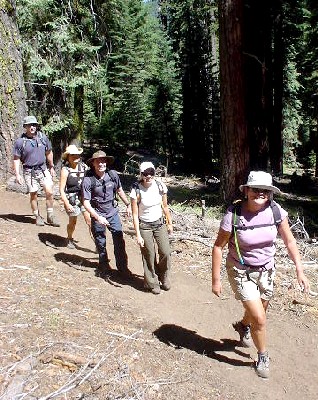 Sequoia National Park '03