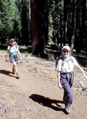 Sequoia National Park '03