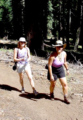 Sequoia National Park '03