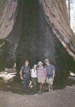 Sequoia National Park '03