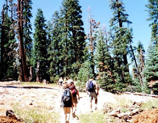 Yosemite '02