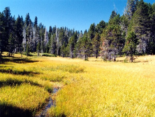 Yosemite '02