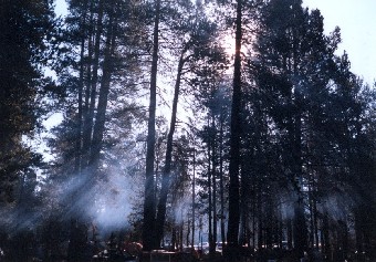 Yosemite '02