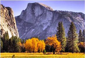 Half Dome from the Valley