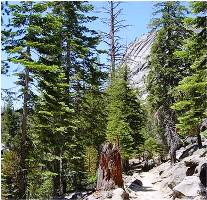 Hiking in Yosemite