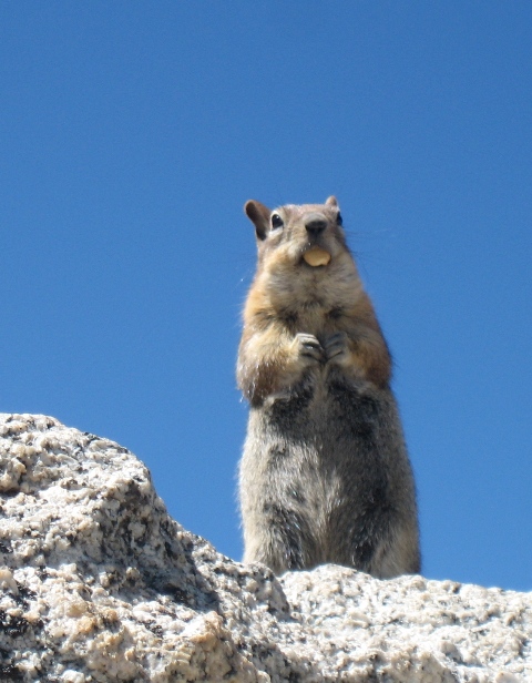 Yosemite '09