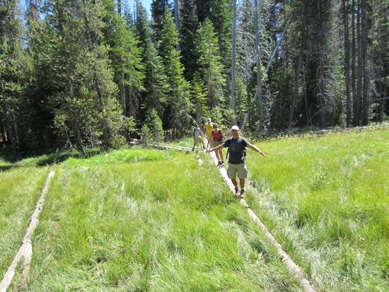 Yosemite '11