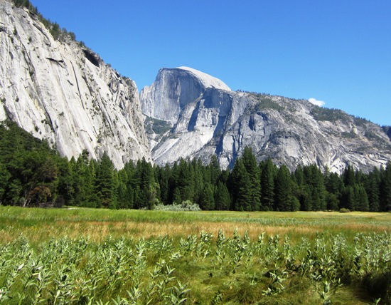 Yosemite '11