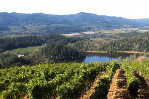 Viader Winery - Howell Mountain