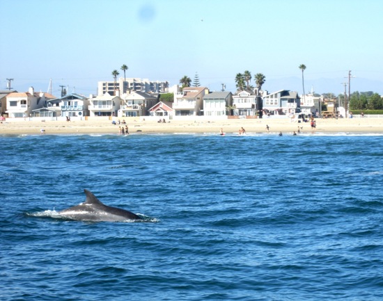 Balboa Yacht Club - 9/19/10