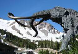 Mammoth '11